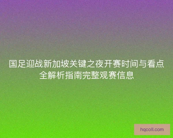 国足迎战新加坡关键之夜开赛时间与看点全解析指南完整观赛信息